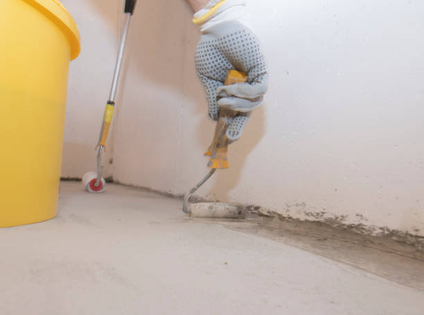 Best Termite Inspection and Treatment  in Wchester, IN